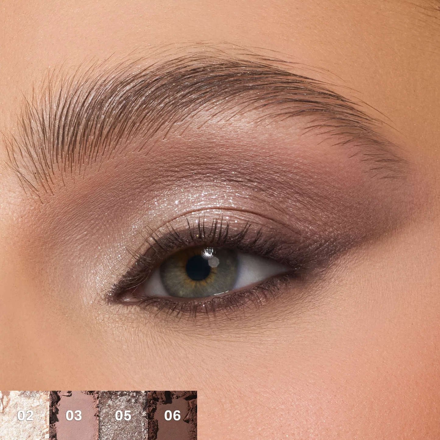 ChromaPlus 6-pan eyeshadow palette Morphe