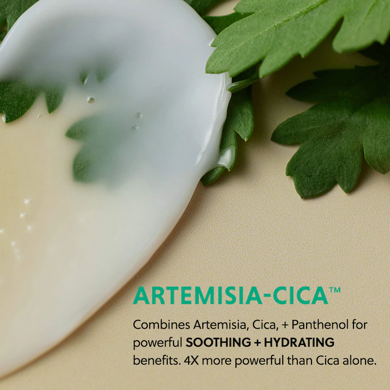 Artemisia Soothing Gel Cream Moisturizer with Centella Asiatica and Niacinamide Hanyul