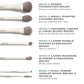 Along for the glide 6-piece travel brush set Morphe