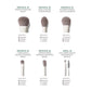 Along for the glide 6-piece travel brush set Morphe