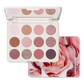 Chromaplus 12-pan eyeshadow palette Morphe