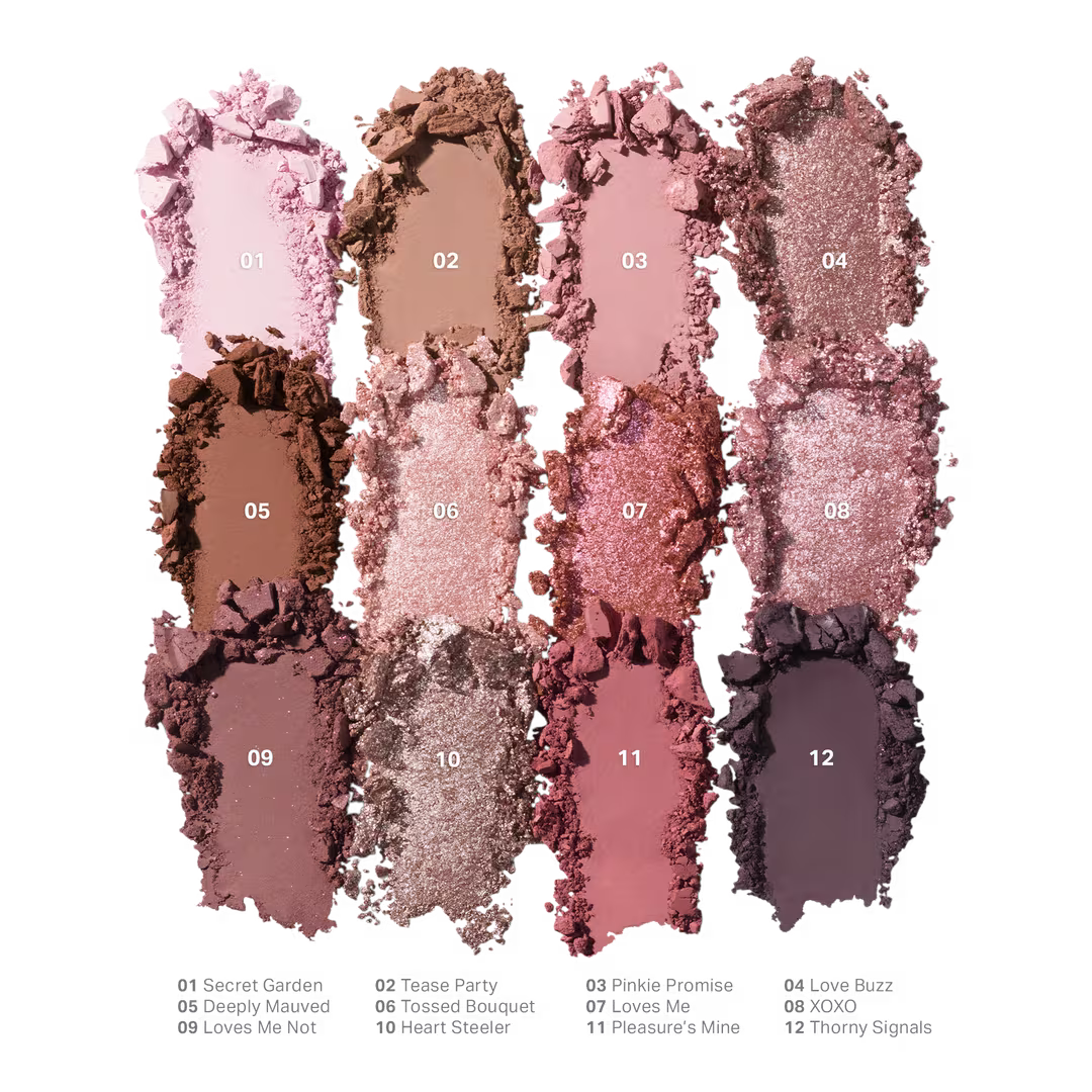 Chromaplus 12-pan eyeshadow palette Morphe