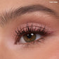 Trophy wife eyeshadow trio Morphe