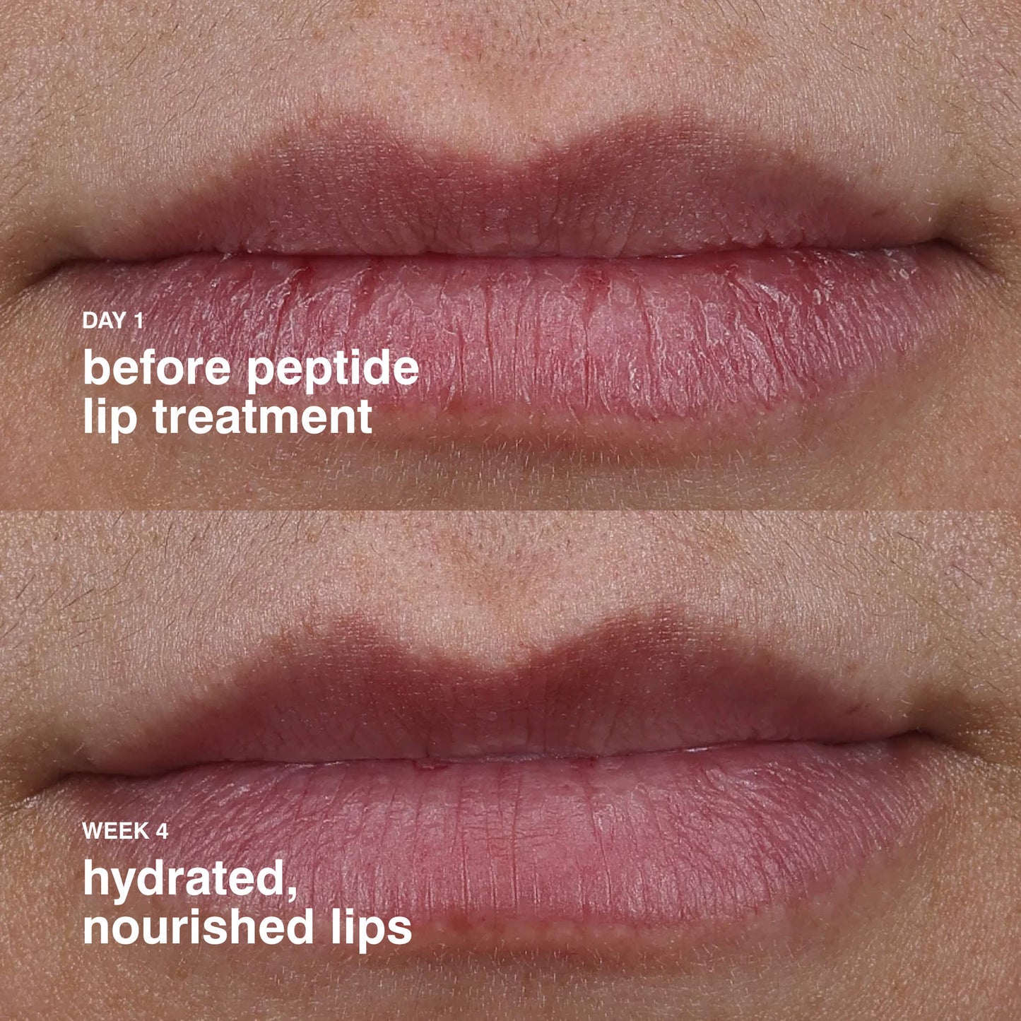 Peptide lip treatment nourishing glaze Rhode