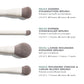 Face & Eye Brush Set MORPHE