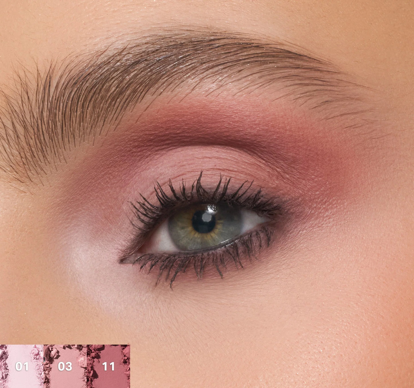 Chromaplus 12-pan eyeshadow palette Morphe