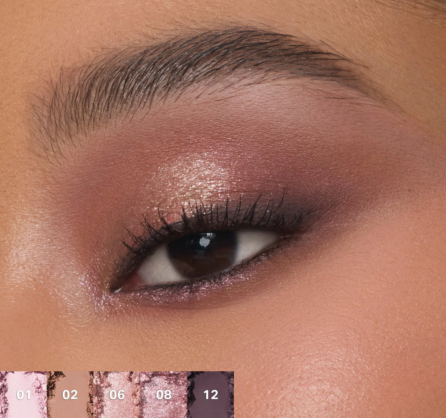 Chromaplus 12-pan eyeshadow palette Morphe