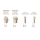 Oat Latte 5-Piece Face & Eye Brush Set Morphe