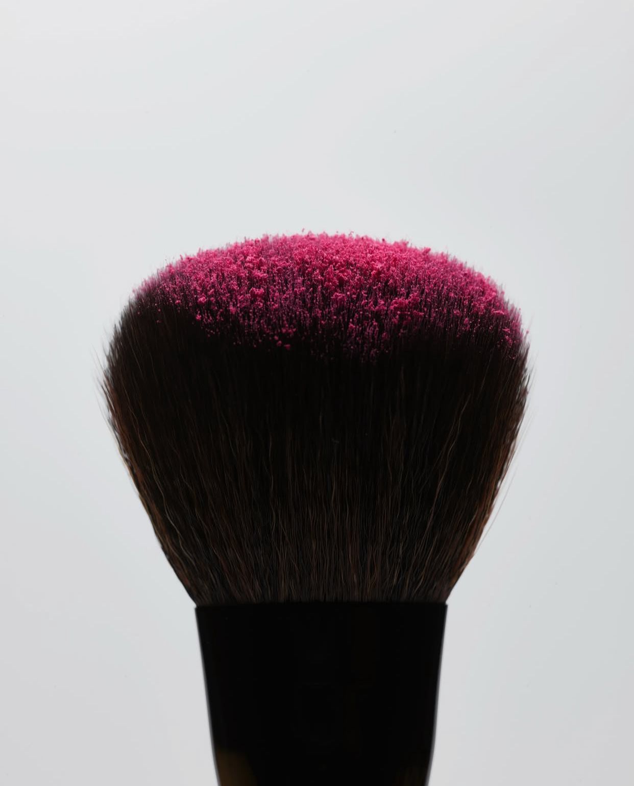 The Powder Blush Brush Saie