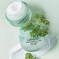 Artemisia Soothing Gel Cream Moisturizer with Centella Asiatica and Niacinamide Hanyul
