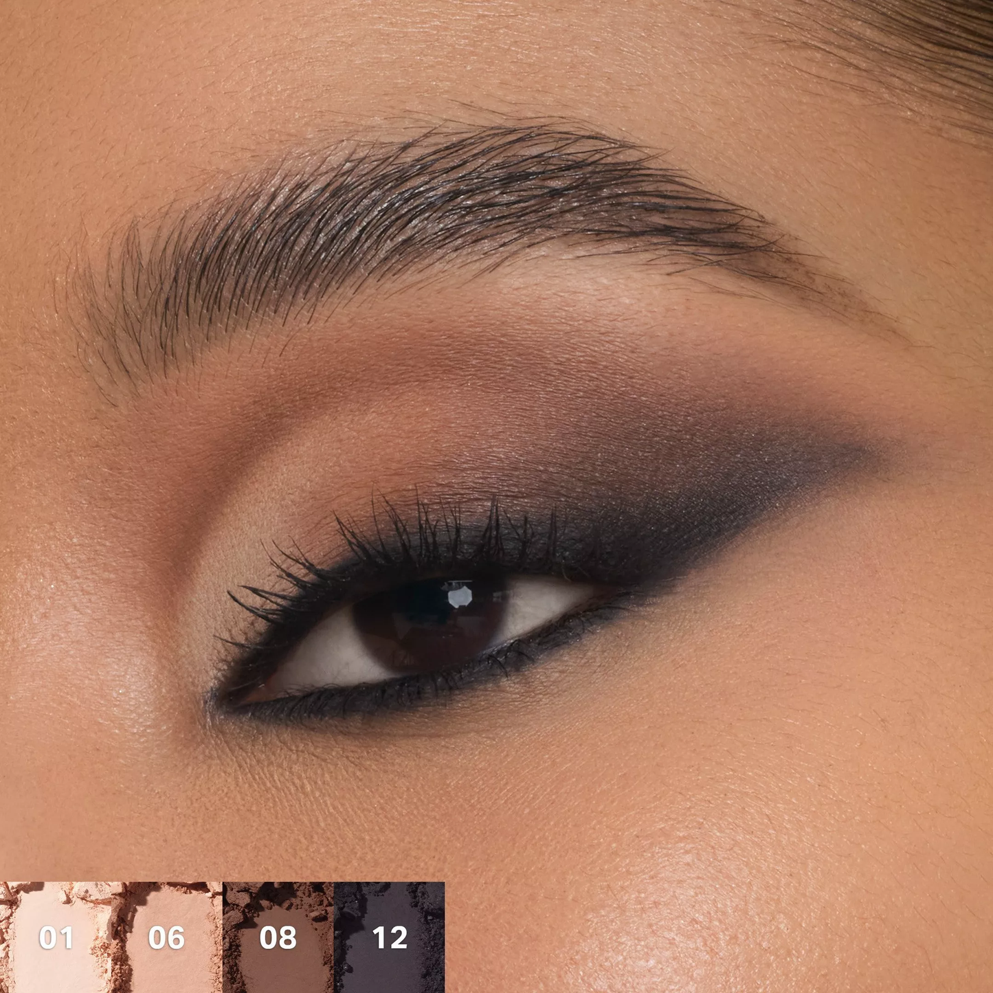 ChromaPlus 12-pan eyeshadow palette Morphe