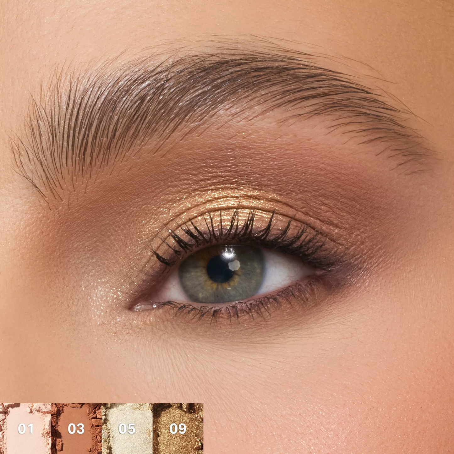 ChromaPlus 12-pan eyeshadow palette Morphe