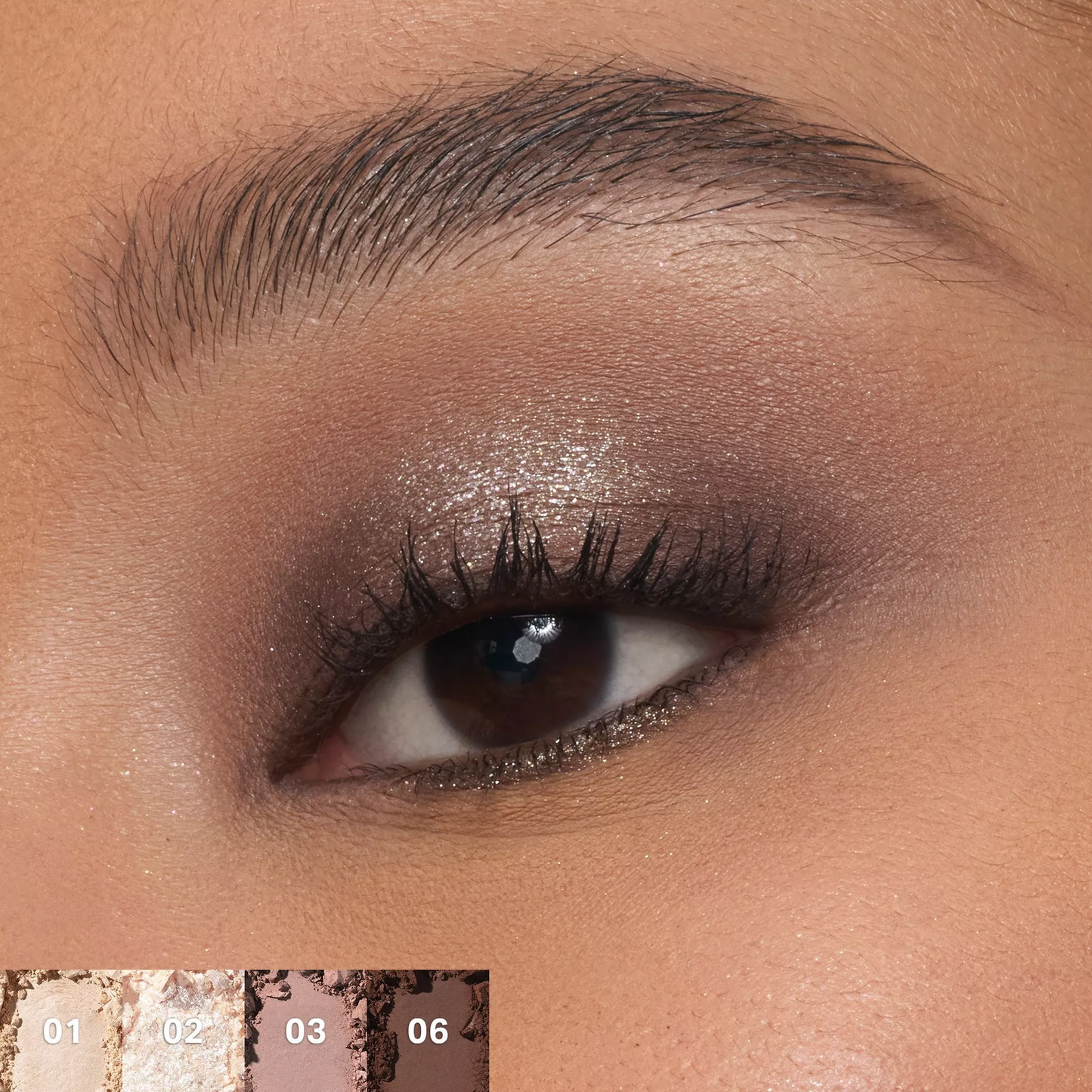 ChromaPlus 6-pan eyeshadow palette Morphe