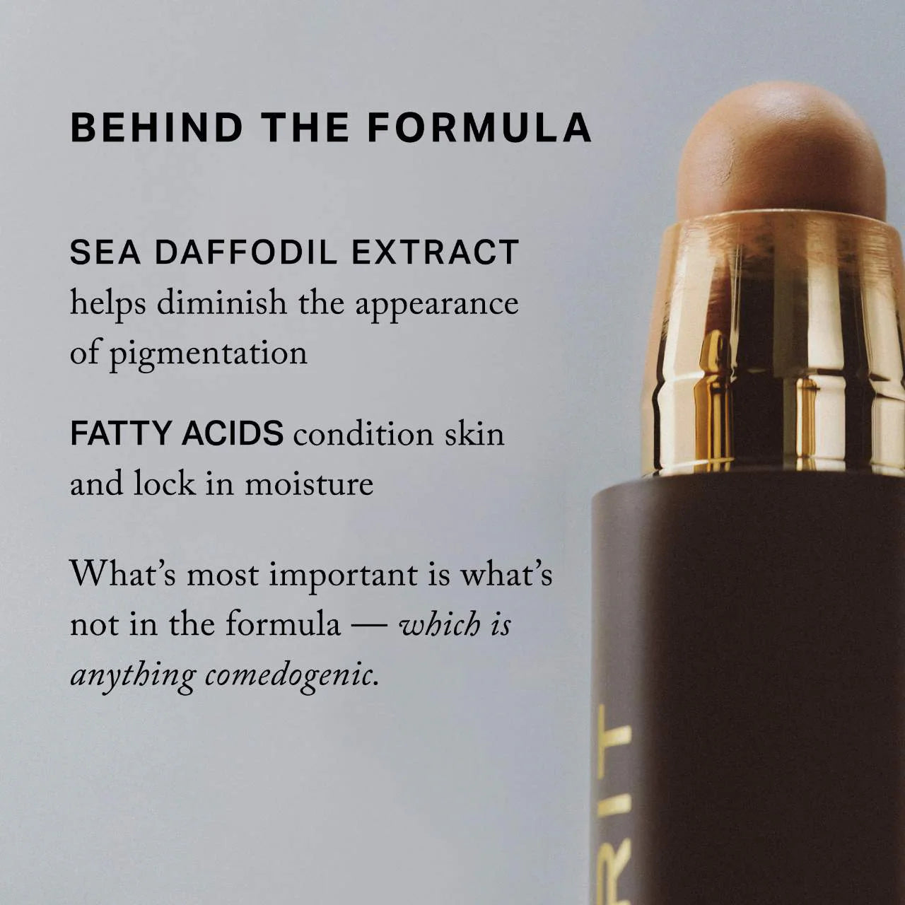 The minimalist perfecting complexion foundation and concealer stick MERIT