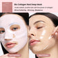Real Deep Mask Biodance