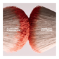 Dual ended blush brush Patrick Ta